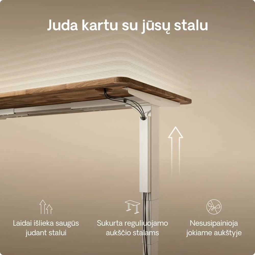 Desktronic Magnetinis darbo stalo laidų laikiklis, Metalinis, Baltas