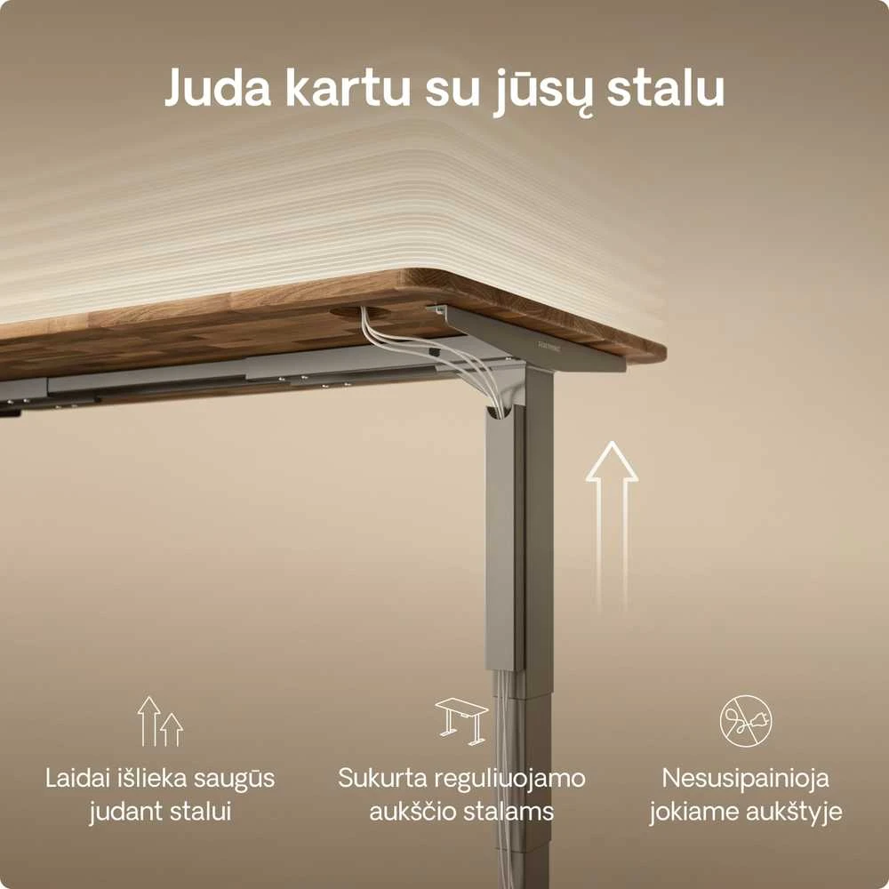 Desktronic Magnetinis darbo stalo laidų laikiklis, Metalinis, Pilkas