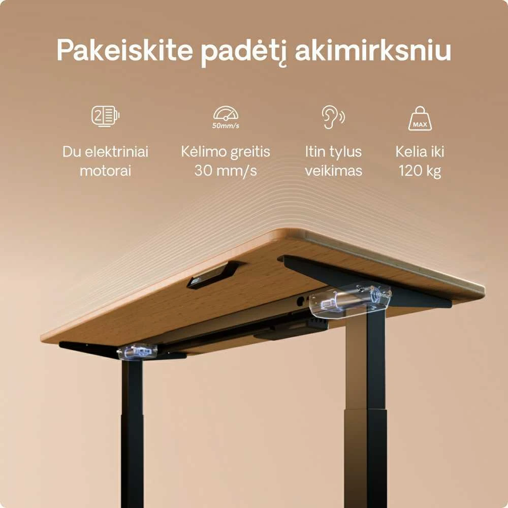 Elektrinis reguliuojamo aukščio stalas Desktronic HomeOne Bambukas/Juodas, 120x60cm, Dvigubas motoras, USB ir USB-C įkrovimo lizdai