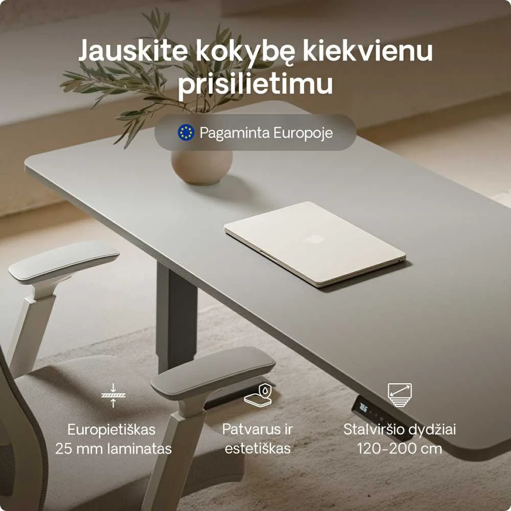 Elektrinis reguliuojamo aukščio stalas Desktronic HomePro Juodas/Pilkas, 200x80cm, Dvigubas motoras, USB ir USB-C įkrovimo lizdai