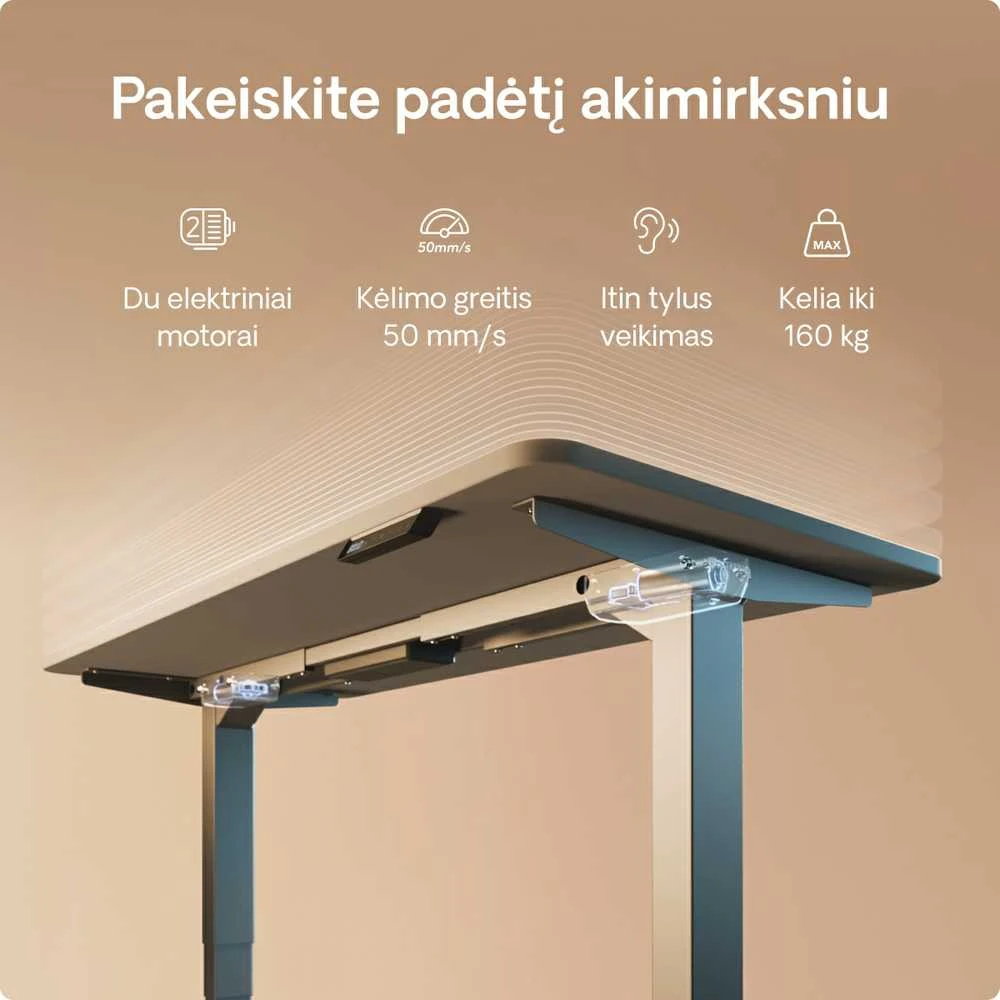 Elektrinis reguliuojamo aukščio stalas Desktronic HomePro Pilkas/Pilkas, 200x80cm, Dvigubas motoras, USB ir USB-C įkrovimo lizdai