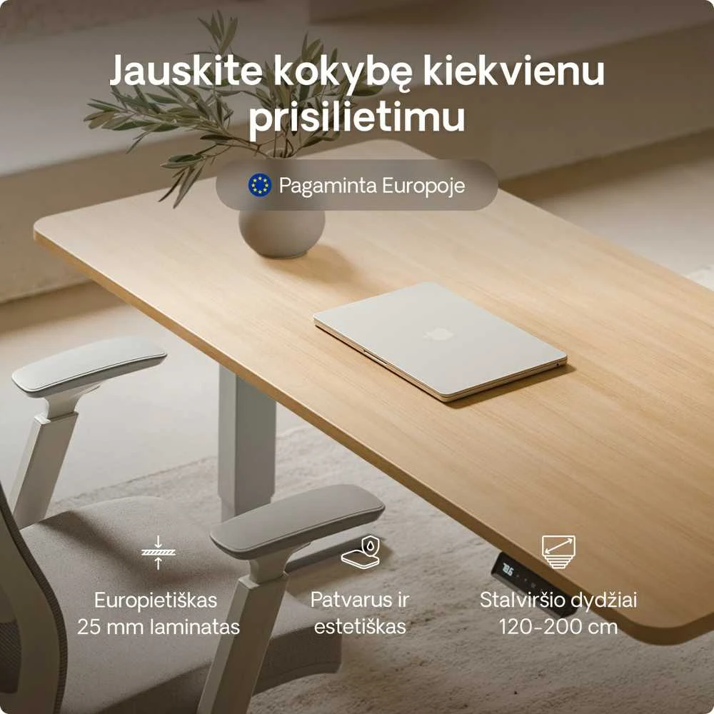 Elektrinis reguliuojamo aukščio stalas Desktronic HomePro Pilkas/Ąžuolas, 140x70cm, Dvigubas motoras, USB ir USB-C įkrovimo lizdai