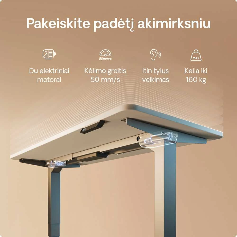 Elektrinis reguliuojamo aukščio stalas Desktronic HomePro Pilkas/Baltas, 160x80cm, Dvigubas motoras, USB ir USB-C įkrovimo lizdai