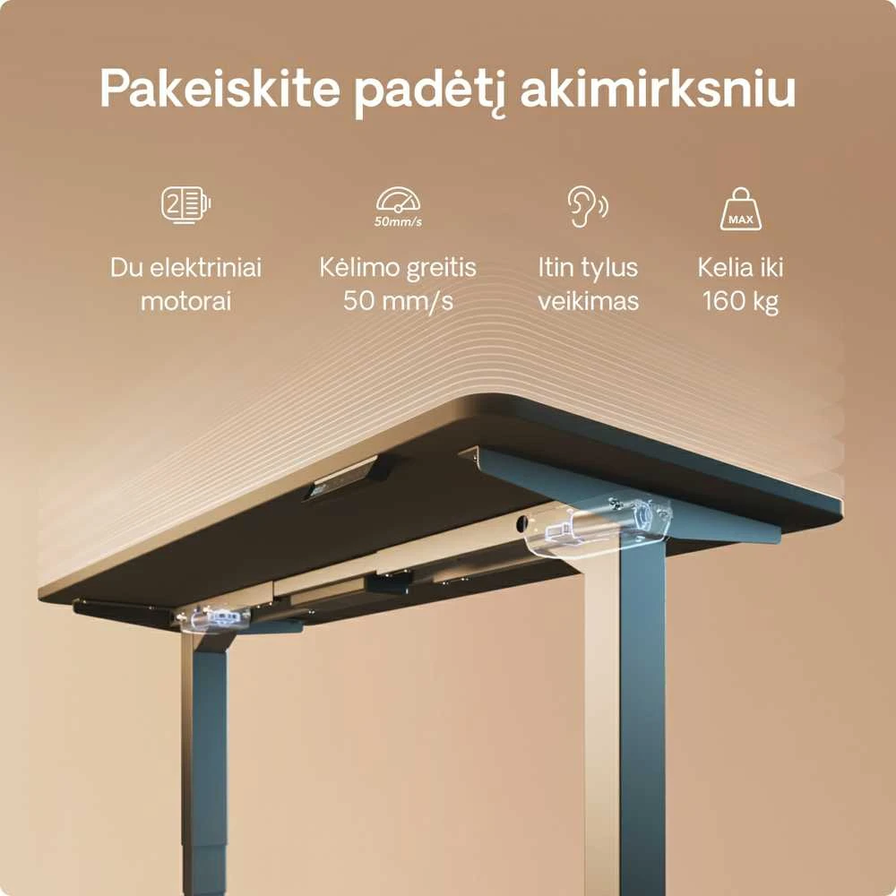 Elektrinis reguliuojamo aukščio stalas Desktronic HomePro Pilkas/Juodas, 140x70cm, Dvigubas motoras, USB ir USB-C įkrovimo lizdai