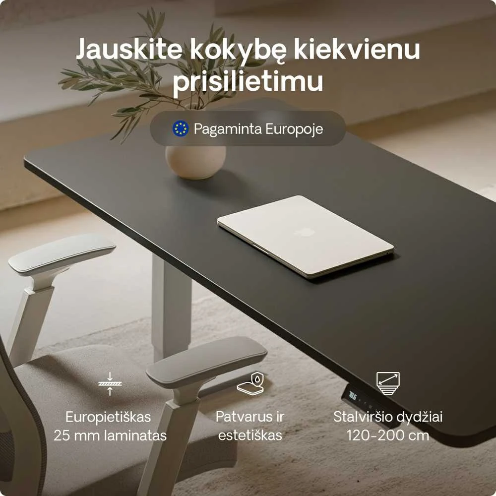 Elektrinis reguliuojamo aukščio stalas Desktronic HomePro Pilkas/Juodas, 140x70cm, Dvigubas motoras, USB ir USB-C įkrovimo lizdai