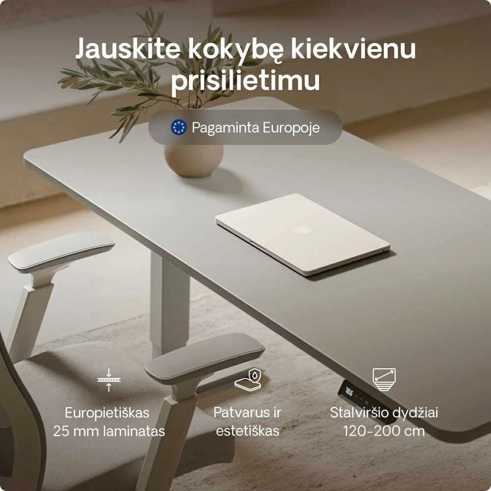 Elektrinis reguliuojamo aukščio stalas Desktronic HomePro Pilkas/Pilkas, 200x80cm, Dvigubas motoras, USB ir USB-C įkrovimo lizdai