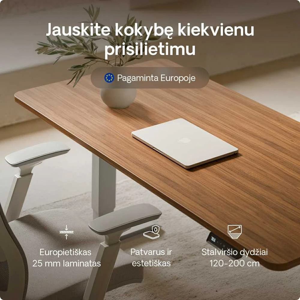 Elektrinis reguliuojamo aukščio stalas Desktronic HomePro Pilkas/Riešutmedis, 200x80cm, Dvigubas motoras, USB ir USB-C įkrovimo lizdai