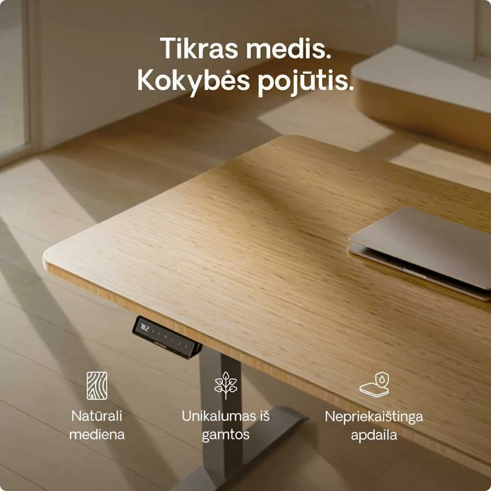 Elektrinis reguliuojamo aukščio stalas Desktronic HomeOne Bambukas/Pilkas, 140x70cm, Dvigubas motoras, USB ir USB-C įkrovimo lizdai