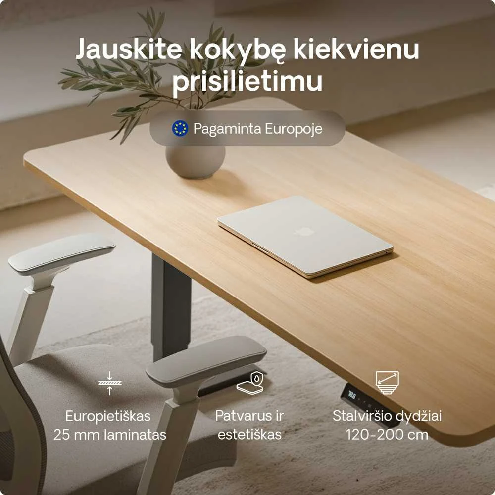 Elektrinis reguliuojamo aukščio stalas Desktronic HomePro Juodas/Ąžuolas, 200x80cm, Dvigubas motoras, USB ir USB-C įkrovimo lizdai