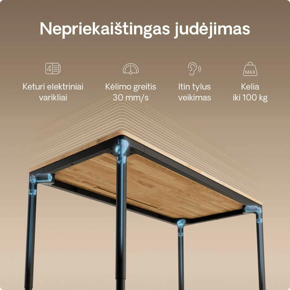 Desktronic HomeMax variklių techninė schema