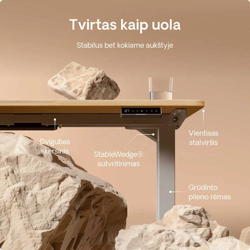 Elektrinis reguliuojamo aukščio stalas Desktronic HomePro Ąžuolo masyvas/Pilkas, 200x80cm, Dvigubas motoras, USB ir USB-C įkrovimo lizdai