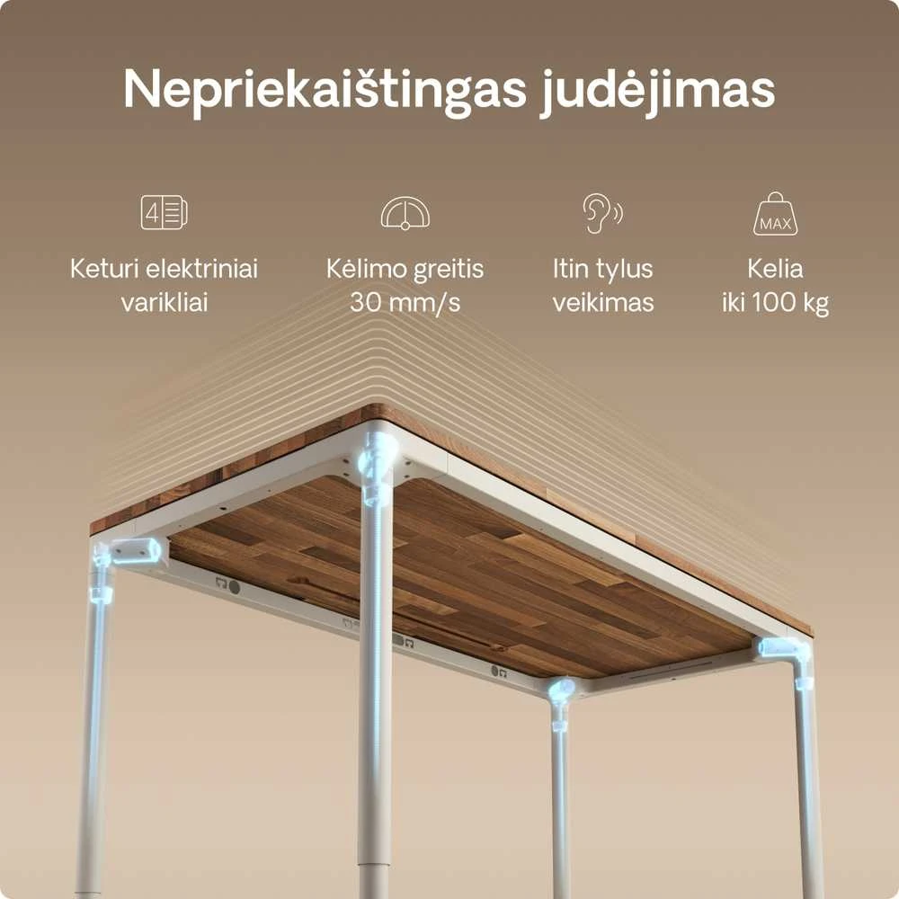 Desktronic HomeMax stalo mechanizmo techninė diagrama