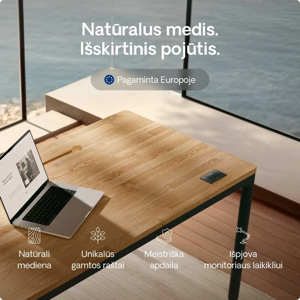 Elektrinis Reguliuojamo Aukščio Stalas Desktronic HomeMax Juodas/Ąžuolas, 160x80cm, Keturi varikliai, Magnetinis kabelių laikiklis