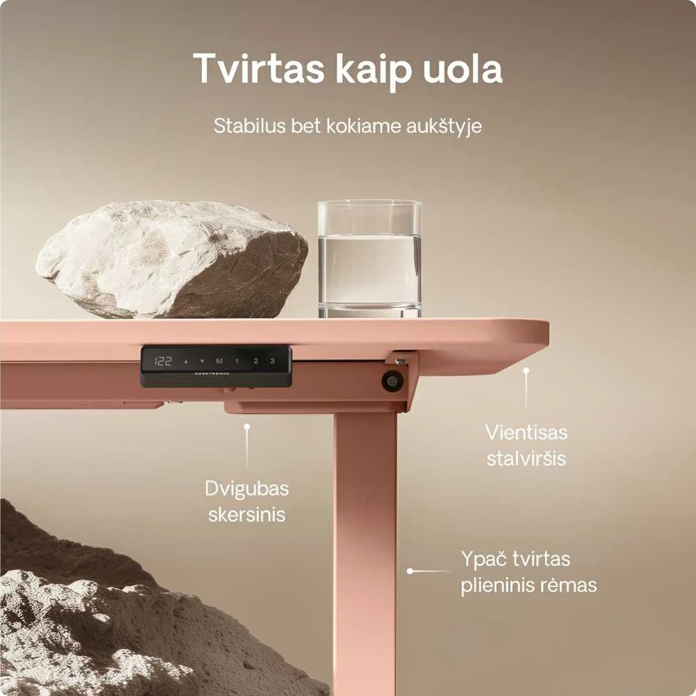 Elektrinis reguliuojamo aukščio stalas Desktronic HomeOne Rožinis/Rožinis, 120x60cm, Dvigubas motoras, USB ir USB-C įkrovimo lizdai