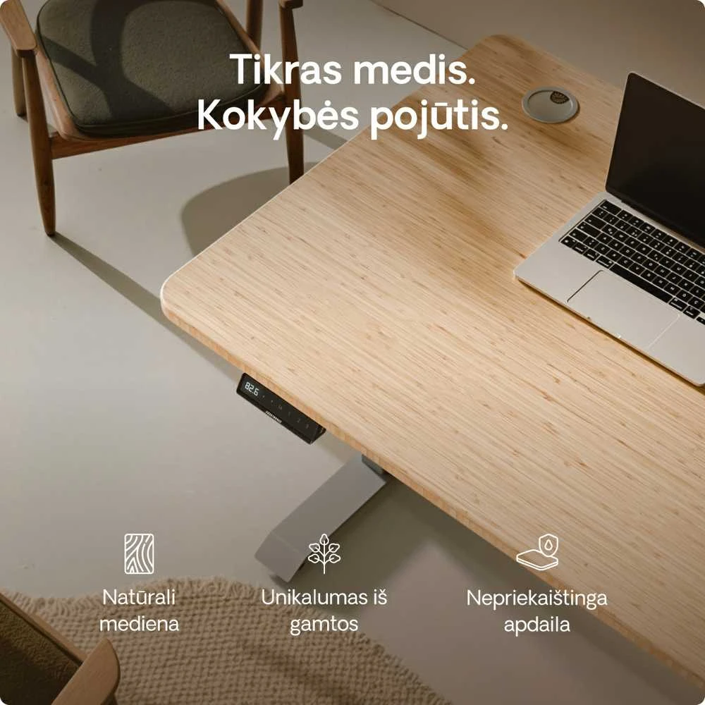 Elektrinis reguliuojamo aukščio stalas Desktronic HomePro Bambukas/Pilkas, 140x70cm, Dvigubas motoras, USB ir USB-C įkrovimo lizdai