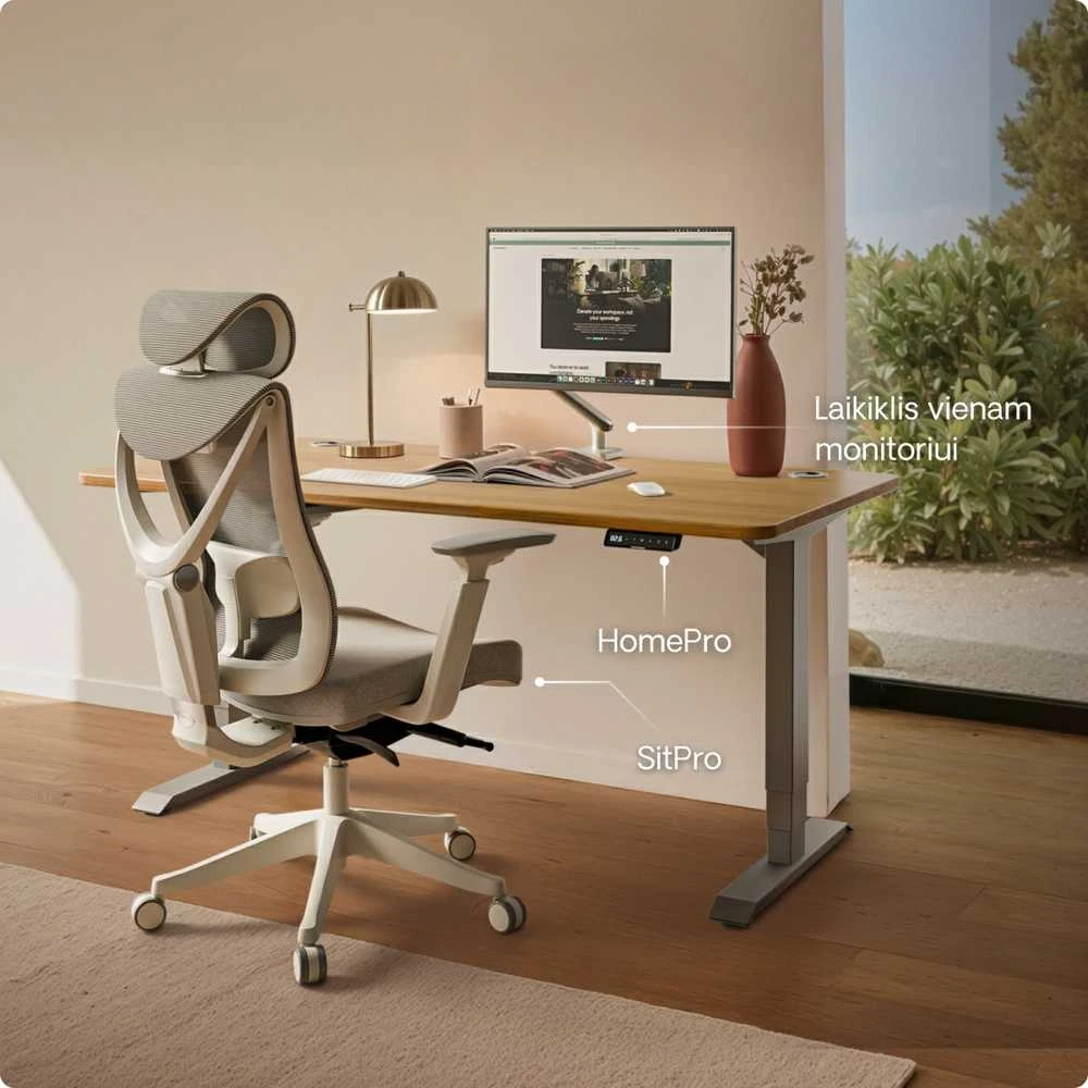 Elektrinis reguliuojamo aukščio stalas Desktronic HomePro Ąžuolo masyvas/Pilkas, 200x80cm, Dvigubas motoras, USB ir USB-C įkrovimo lizdai