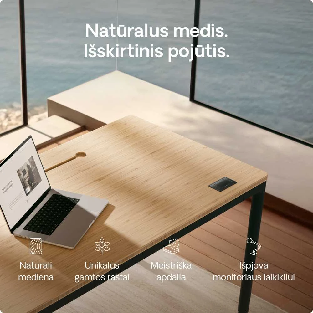 Elektrinis Reguliuojamo Aukščio Stalas Desktronic HomeMax Juodas/Bambukas, 160x80cm, Keturi varikliai, Magnetinis kabelių laikiklis