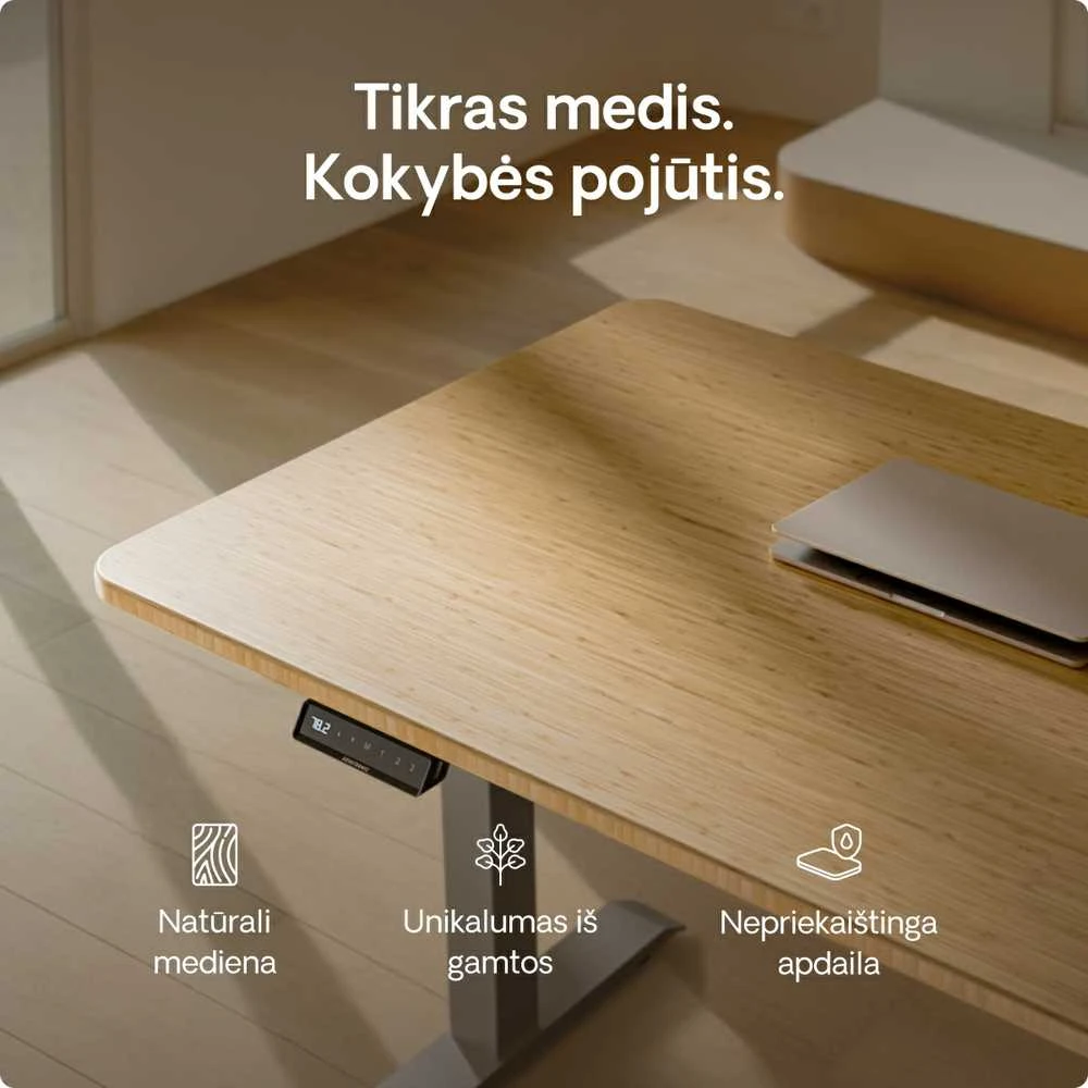 Elektrinis reguliuojamo aukščio stalas Desktronic HomeOne Bambukas/Pilkas, 140x70cm, Dvigubas motoras, USB ir USB-C įkrovimo lizdai