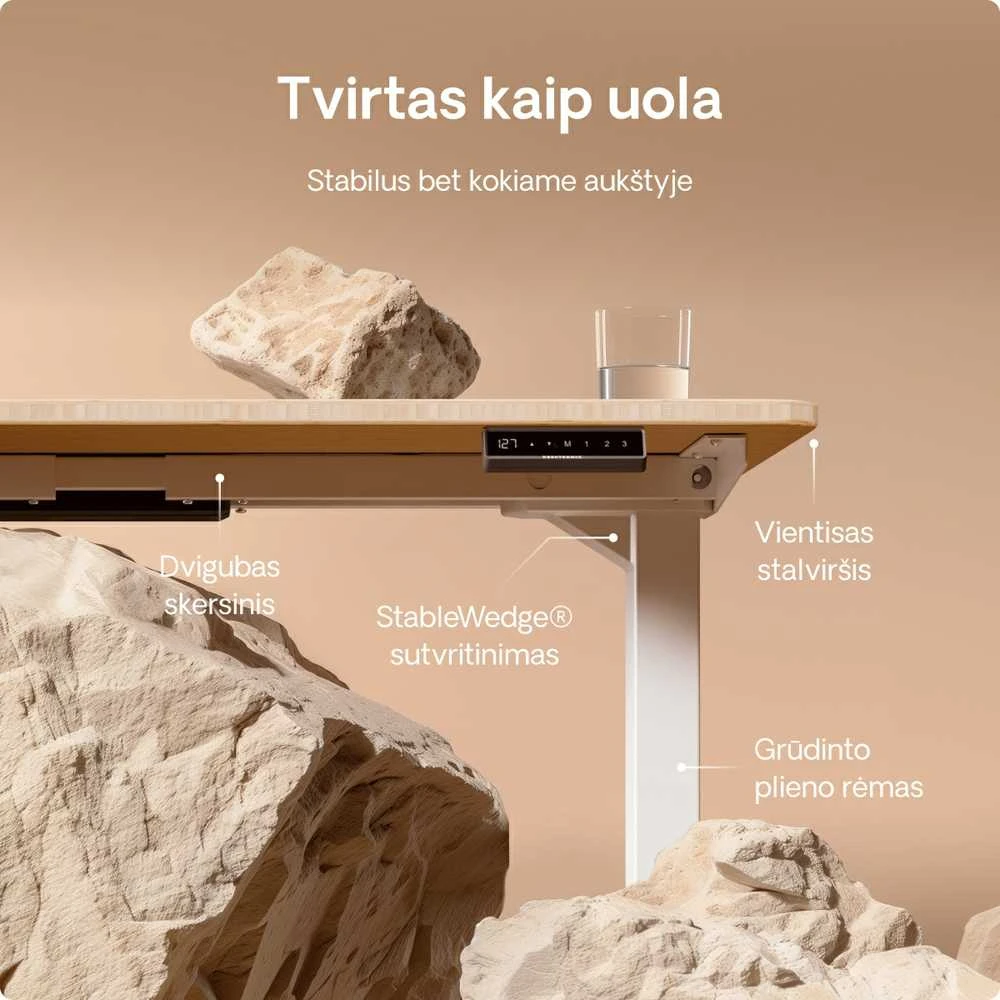 Desktronic HomePro stalo konstrukcijos detalės