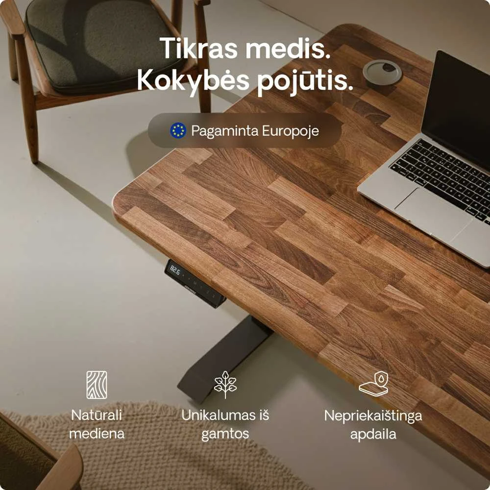 Elektrinis reguliuojamo aukščio stalas Desktronic HomePro Riešutmedžio masyvas/Juodas, 180x80cm, Dvigubas motoras, USB ir USB-C įkrovimo lizdai