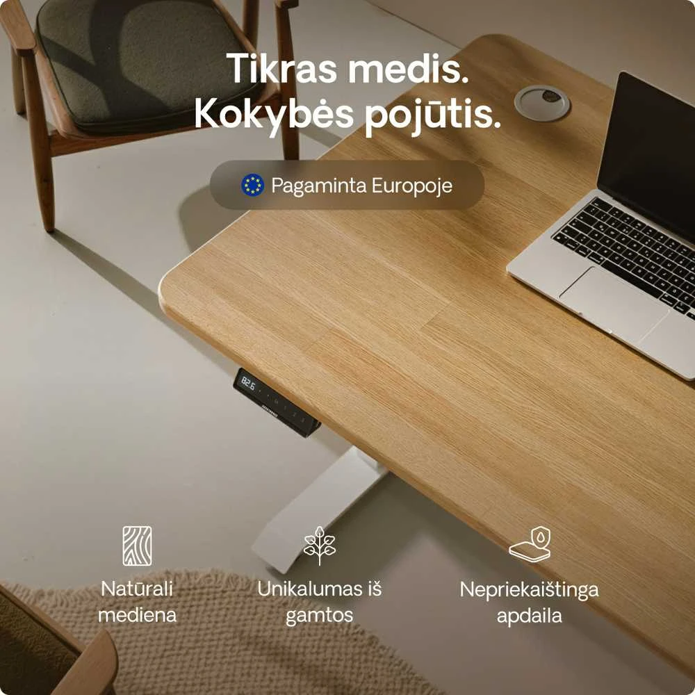 Elektrinis reguliuojamo aukščio stalas Desktronic HomePro Ąžuolo masyvas/Baltas, 200x80cm, Dvigubas motoras, USB ir USB-C įkrovimo lizdai