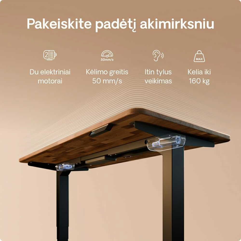 Desktronic HomePro stalo techninės savybės ir varikių vieta