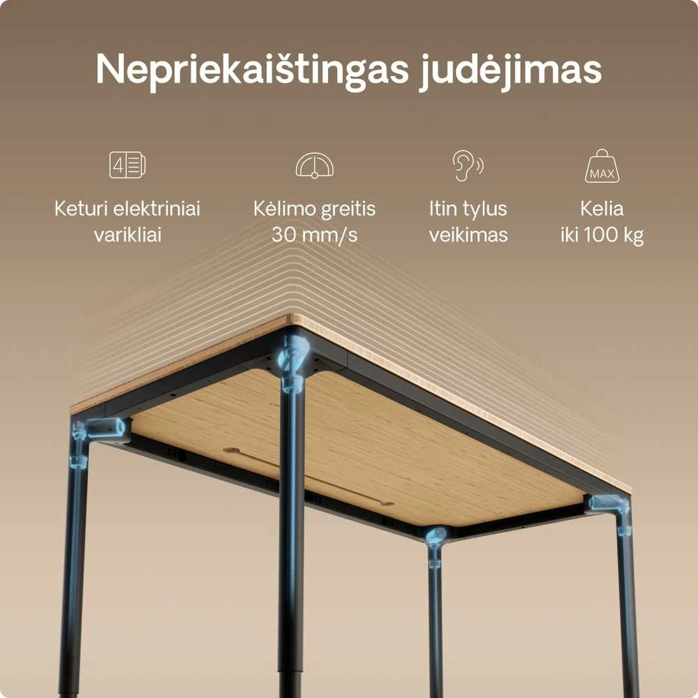 Desktronic HomeMax stalo mechanizmo techninės savybės