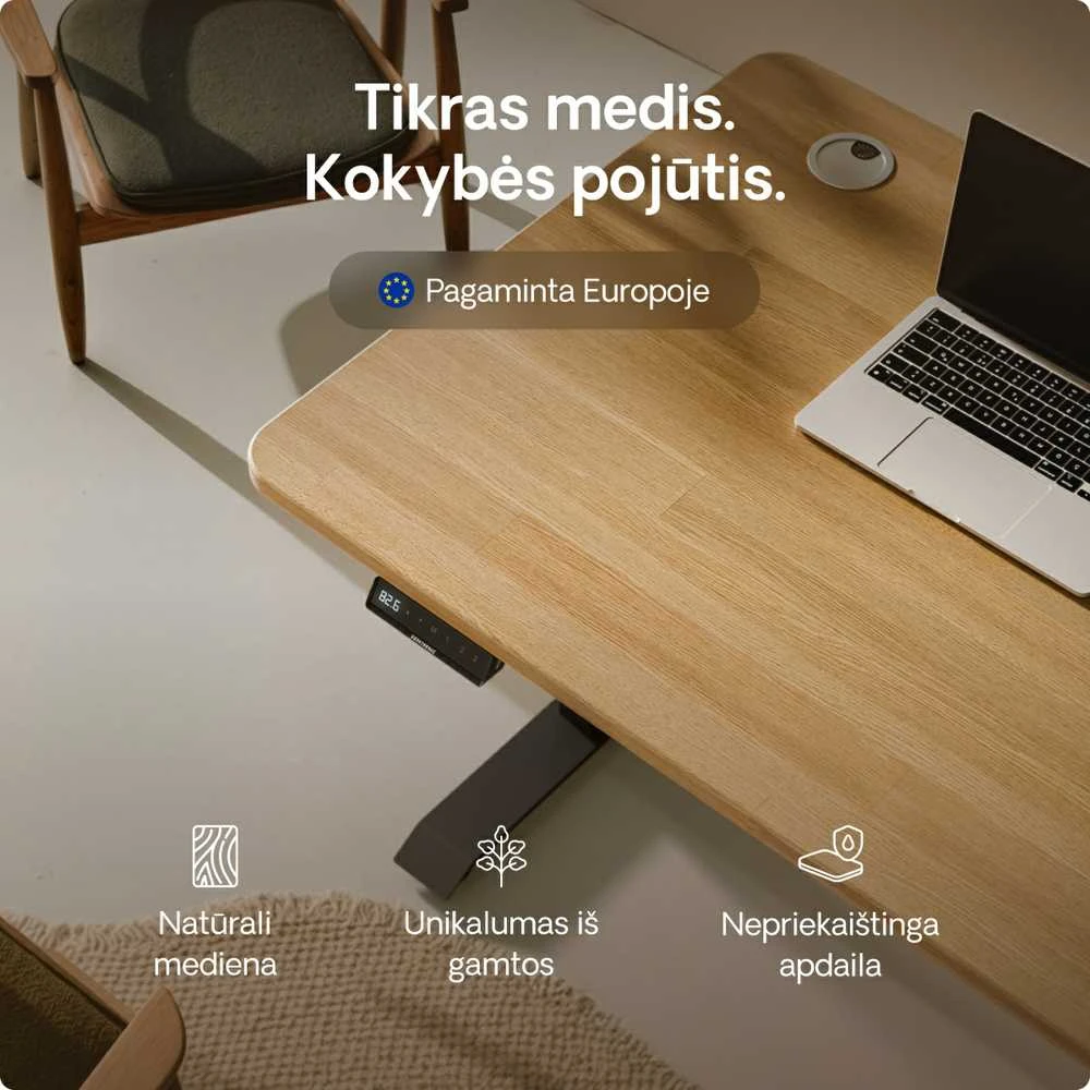 Elektrinis reguliuojamo aukščio stalas Desktronic HomePro Ąžuolo masyvas/Juodas, 180x80cm, Dvigubas motoras, USB ir USB-C įkrovimo lizdai
