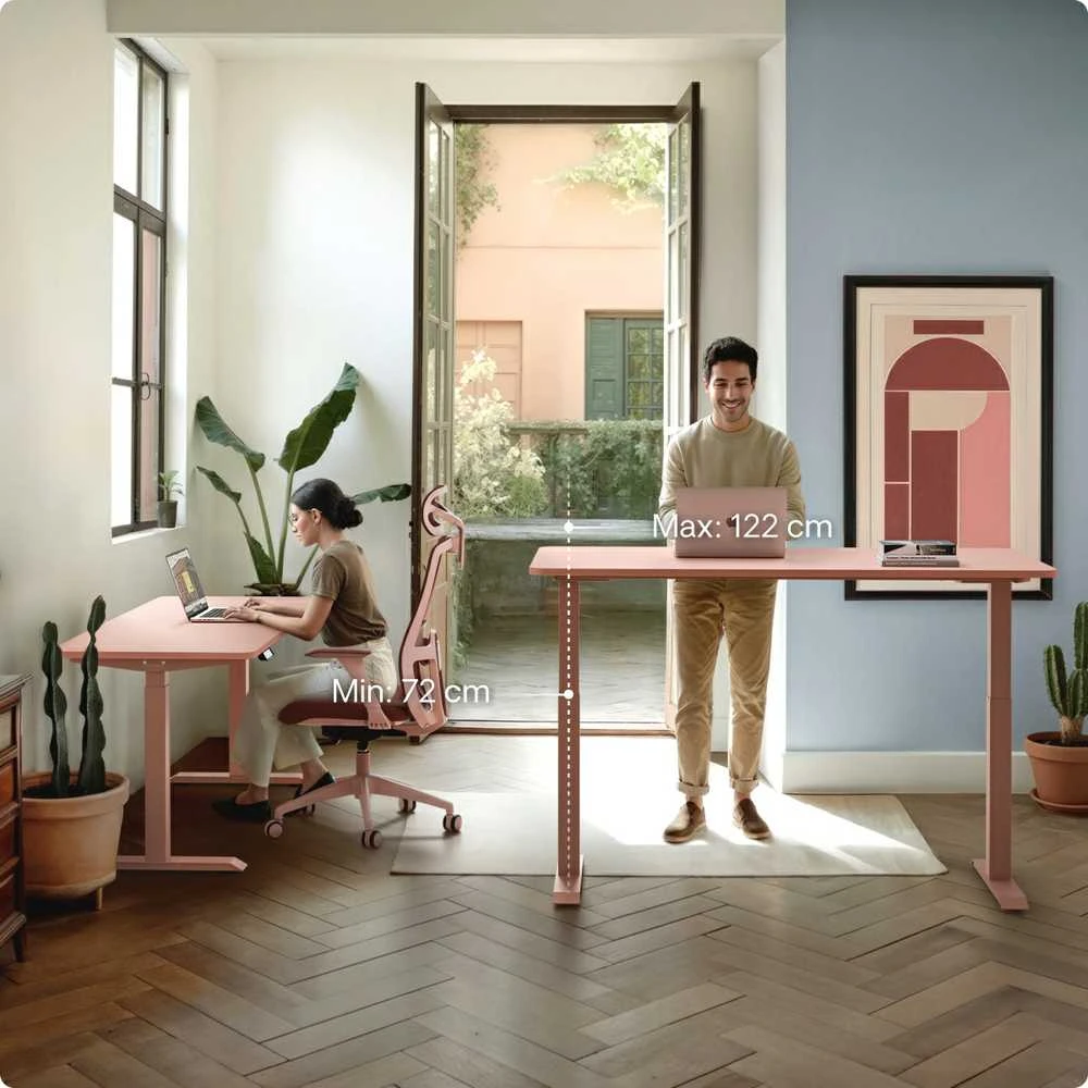 Elektrinis reguliuojamo aukščio stalas Desktronic HomeOne Rožinis/Rožinis, 120x60cm, Dvigubas motoras, USB ir USB-C įkrovimo lizdai