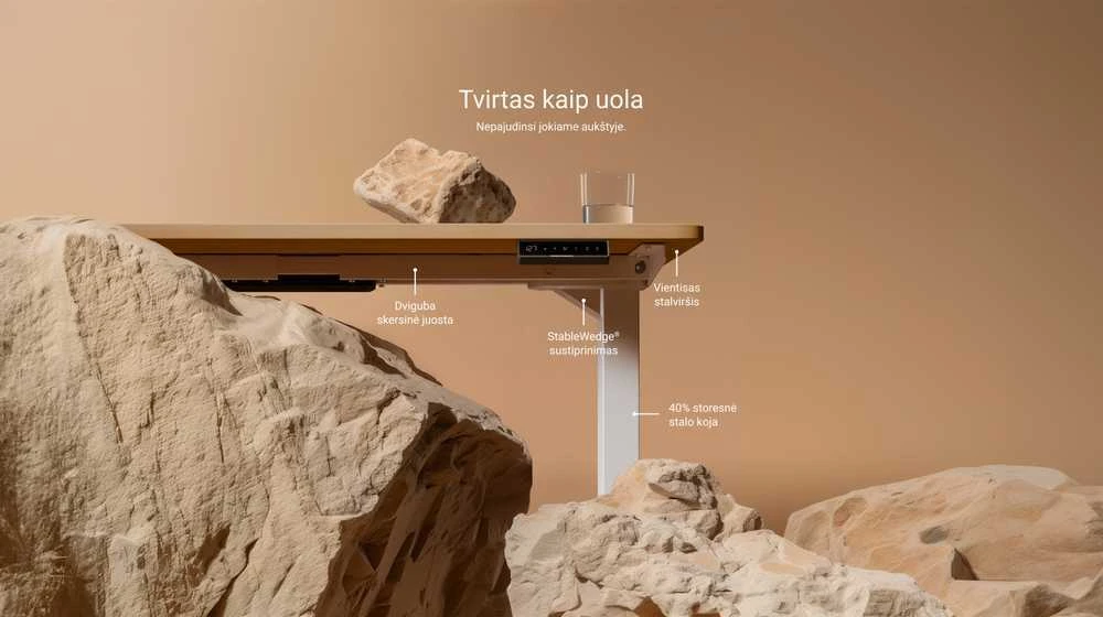 Desktronic HomePro stalo konstrukcijos detalės