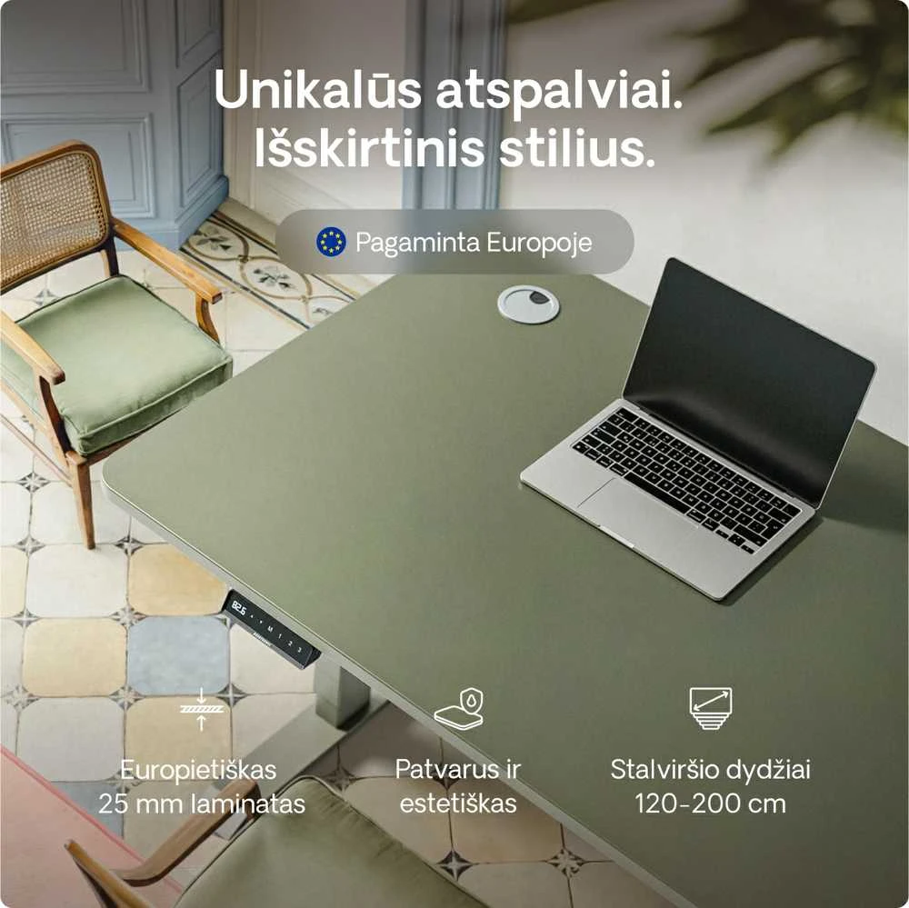 Elektrinis reguliuojamo aukščio stalas Desktronic HomePro Žalias/Baltas, 120x60cm, Dvigubas motoras, USB ir USB-C įkrovimo lizdai