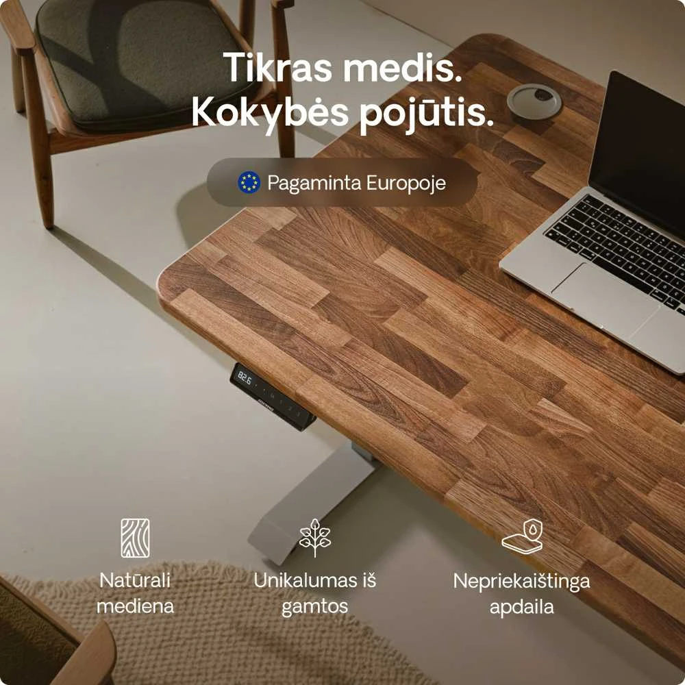 Elektrinis reguliuojamo aukščio stalas Desktronic HomePro Riešutmedžio masyvas/Pilkas, 200x80cm, Dvigubas motoras, USB ir USB-C įkrovimo lizdai