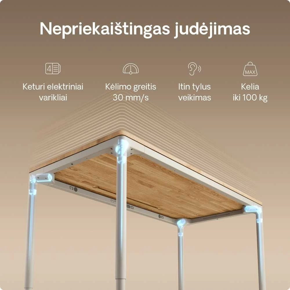 Desktronic HomeMax stalo mechanizmo techninė diagrama