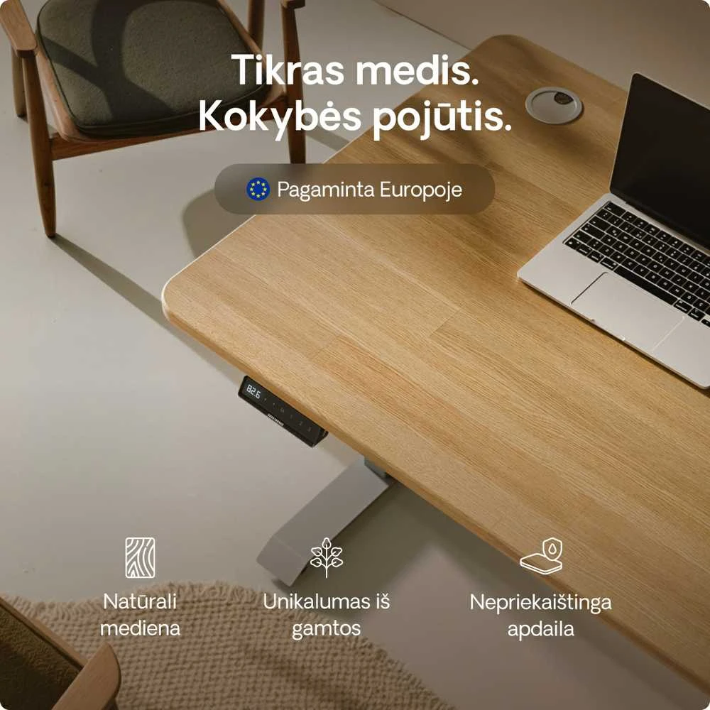 Elektrinis reguliuojamo aukščio stalas Desktronic HomePro Ąžuolo masyvas/Pilkas, 200x80cm, Dvigubas motoras, USB ir USB-C įkrovimo lizdai