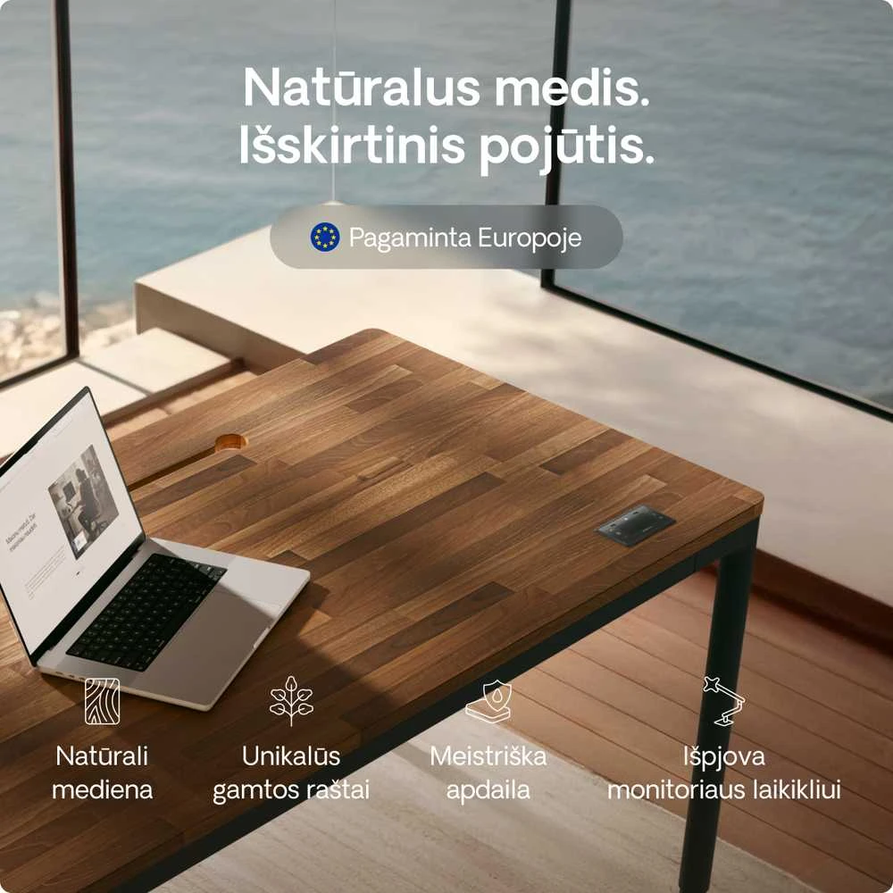 Elektrinis Reguliuojamo Aukščio Stalas Desktronic HomeMax Juodas/Riešutmedis, 160x80cm, Keturi varikliai, Magnetinis kabelių laikiklis