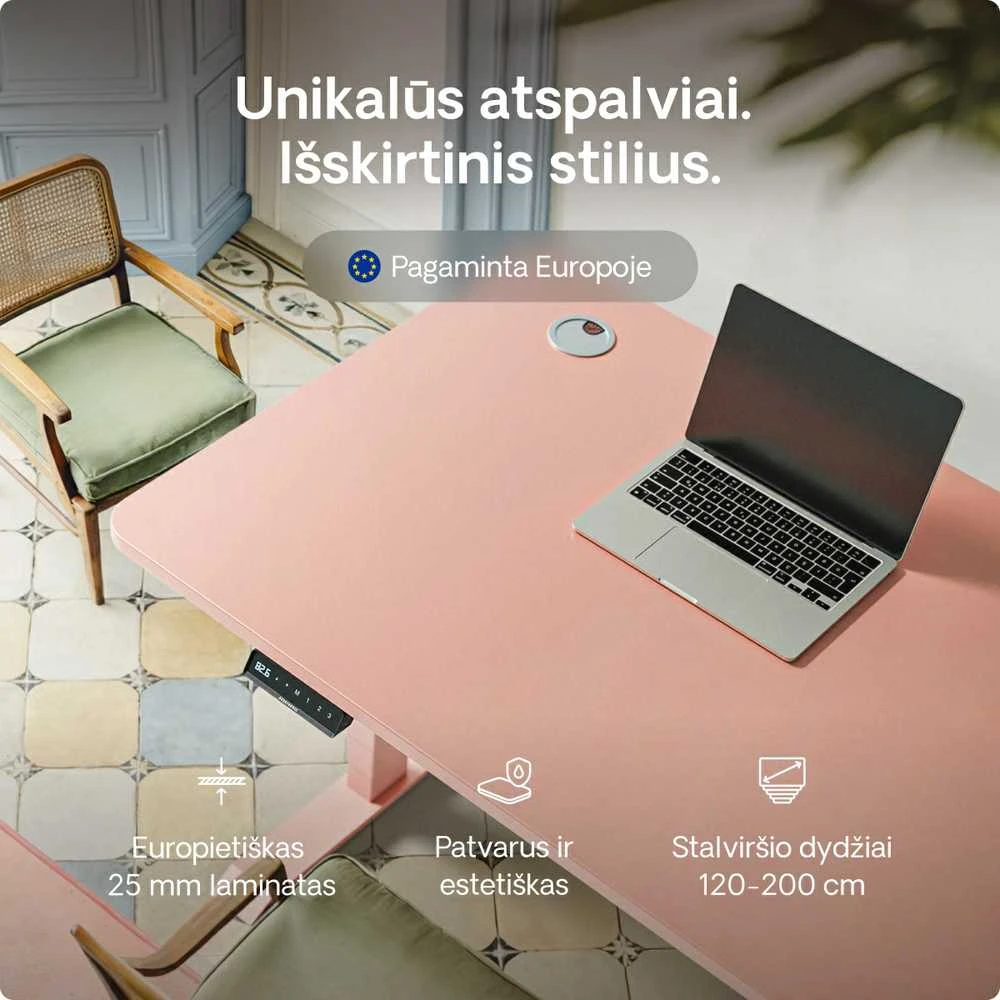 Elektrinis reguliuojamo aukščio stalas Desktronic HomePro Juodas/Rožinis, 120x60cm, Dvigubas motoras, USB ir USB-C įkrovimo lizdai