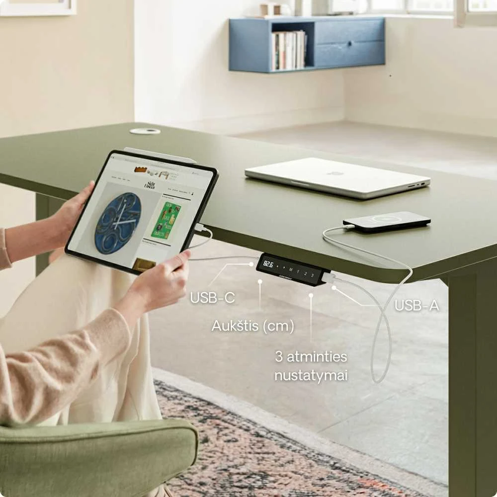 Elektrinis reguliuojamo aukščio stalas Desktronic HomePro Žalias/Baltas, 120x60cm, Dvigubas motoras, USB ir USB-C įkrovimo lizdai