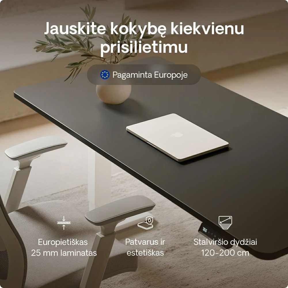 Elektrinis reguliuojamo aukščio stalas Desktronic HomePro Baltas/Juodas, 160x80cm, Dvigubas motoras, USB ir USB-C įkrovimo lizdai