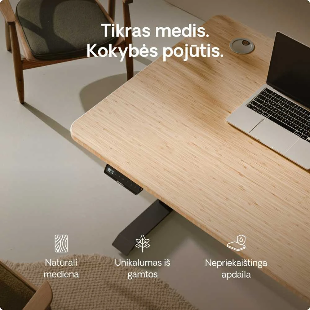 Elektrinis reguliuojamo aukščio stalas Desktronic HomePro Bambukas/Juodas, 180x80cm, Dvigubas motoras, USB ir USB-C įkrovimo lizdai