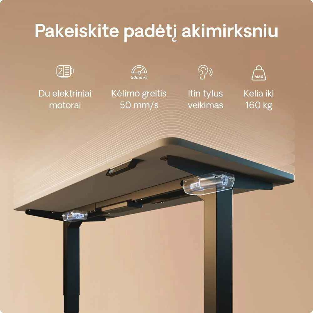 Elektrinis reguliuojamo aukščio stalas Desktronic HomePro Juodas/Pilkas, 200x80cm, Dvigubas motoras, USB ir USB-C įkrovimo lizdai