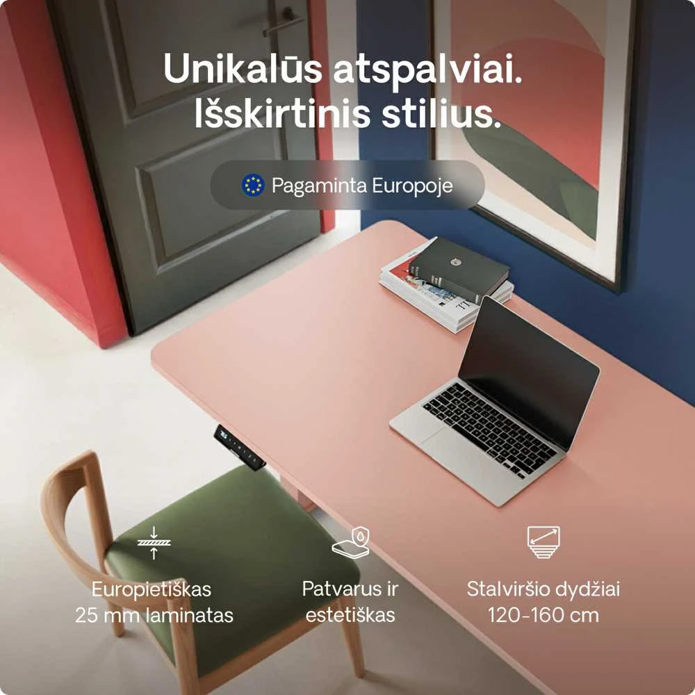 Elektrinis reguliuojamo aukščio stalas Desktronic HomeOne Rožinis/Rožinis, 120x60cm, Dvigubas motoras, USB ir USB-C įkrovimo lizdai
