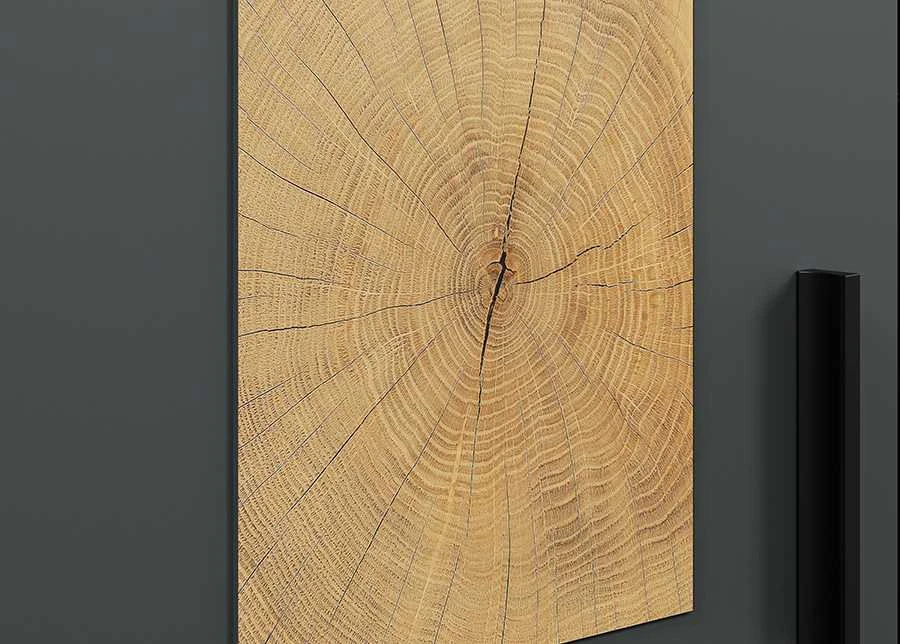 Komoda Tyler, 160 x 42 x 86 cm, antracitas / ąžuolas