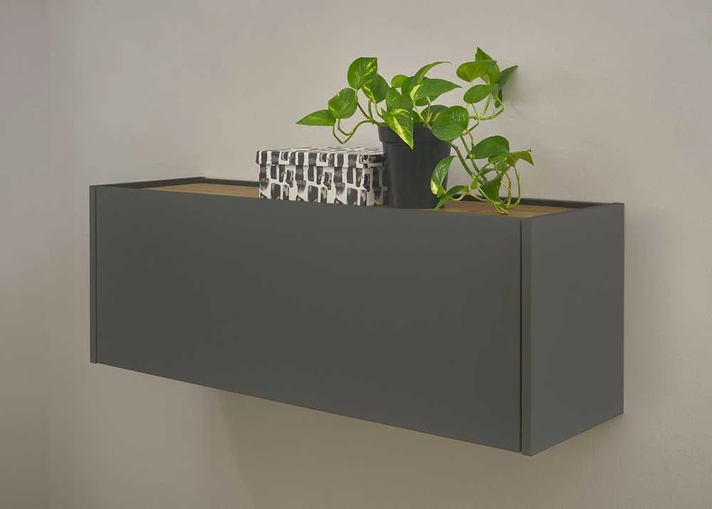 Sieninė spintelė City, 100 x 30 x 35 cm, antracitas / ąžuolas