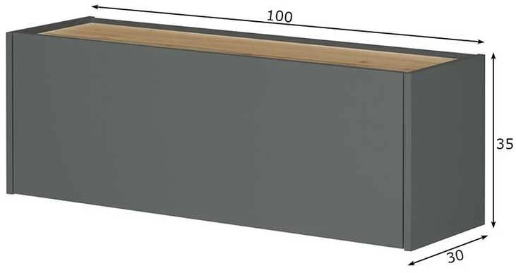 Spinta-sekretorius City, 100 x 30 x 35 cm, antracitas / ąžuolas