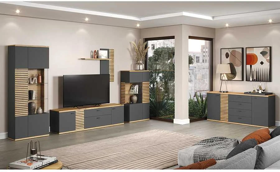TV staliukas Norris, 202 x 42 x 55 cm, antracitas / ąžuolas