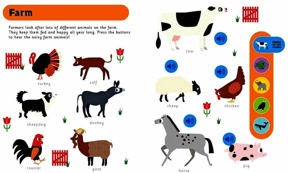 KNYGA Autumn Publishing "My First Animals", 24+ mėn.