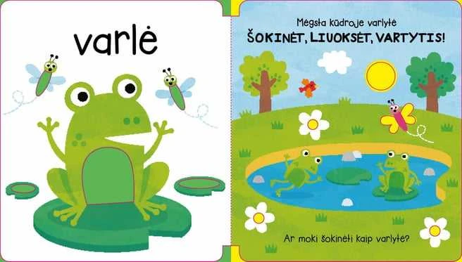 KNYGA Nuostabioji gamta (18 garsų)