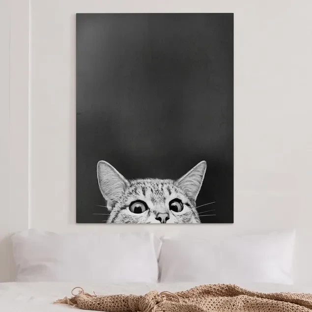 Winder Home Tapyba pagal skaičius – paveikslas, dažai, teptukai, rinkinys „Smalsi katė tamsiame fone“, 40×50 cm