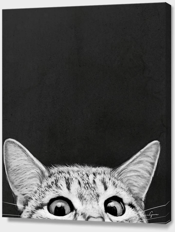 Winder Home Tapyba pagal skaičius – paveikslas, dažai, teptukai, rinkinys „Smalsi katė tamsiame fone“, 40×50 cm