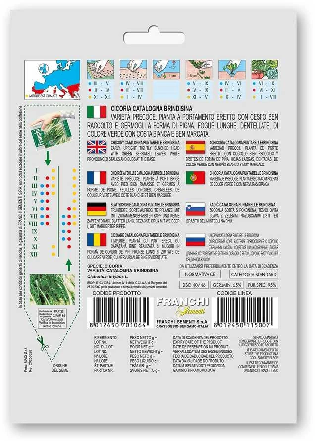 Salotinės trūkažolės (Cikorijos) CATALOGNA BRINDISINA